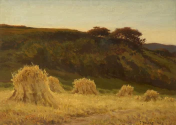 Het Korenveld