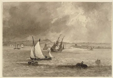 Schepen voor de kust