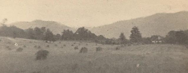 Landschap met bomen en bergen