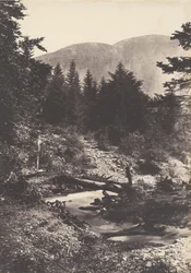 Torrent de la cascade des Demoiselles, Bagnères de Luchon, 1853
