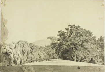 Bosrijk landschap