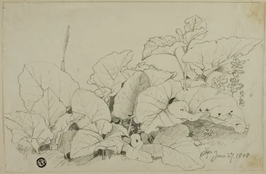 Bosje bladeren en bloemen