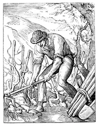 De wijnbouwer