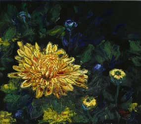 Gouden chrysant in bloei