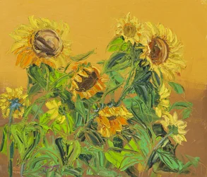 Gouden zonnebloemen