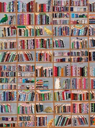 De speelse bibliotheekvrienden