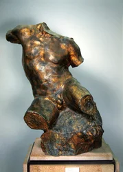 Mannelijke torso