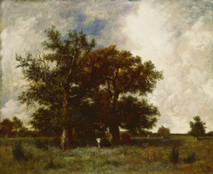 Fontainebleau Eiken