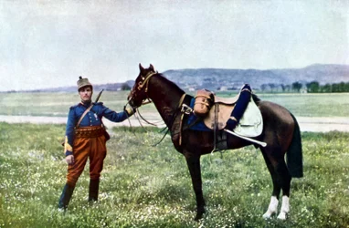 Een Franse brigadier en zijn paard tijdens de Slag bij de Marne ten oosten van Parijs, september 1914