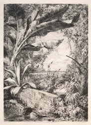 Planten van de Kas