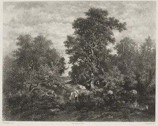 De Vijver, naar Théodore Rousseau (1812-67)