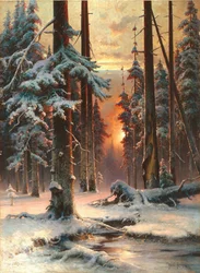 Winterzonsondergang in het sparrenbos