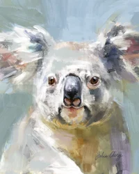 De zachte blik van de koala