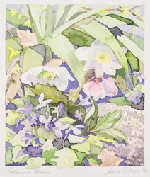 Februaribloemen