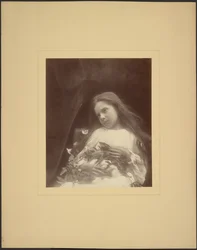 [Adeline Norman].