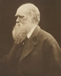Charles Darwin, ca. 1868, gedrukt 1875