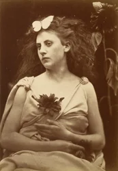 De zonnebloem, begin jaren 1870 (foto)