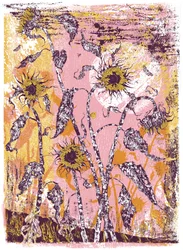son sine sole iris, 2016 (zeefdruk)