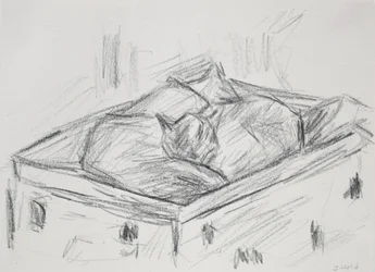 Nestelende Katten