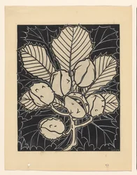 Blad van een kastanje met vruchten