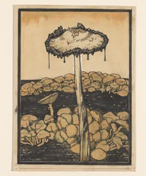 Druipende paddenstoel