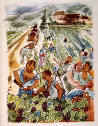 Franse wijngaard 1944