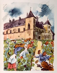 Franse wijngaard. 1944. Illustratie door Julien Pavil
