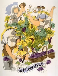 Humoristische wijnillustratie 1946