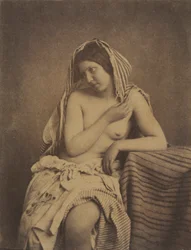 Studie naar de natuur, ca. 1853-1855