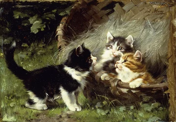 Is er nog plaats in de mand?