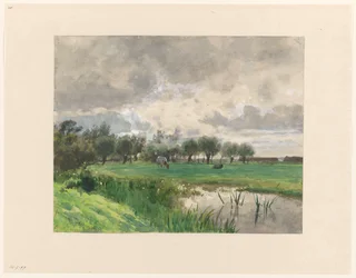 Koe grazend in een weide