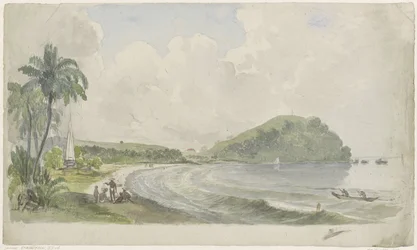 Tropisch kustlandschap