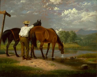 Paarden Water geven