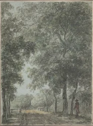Een bebost pad bij Treslong, nabij Hillegom
