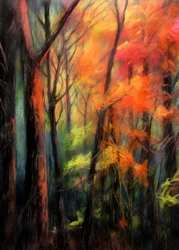 Herfstglans in het bos