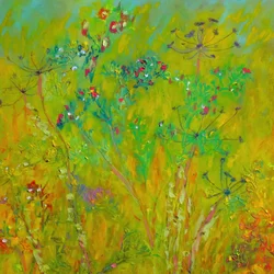 Kleurrijk veld met wilde bloemen
