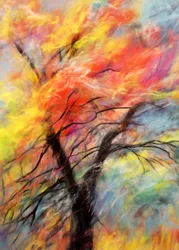 Kleurrijke herfstboom