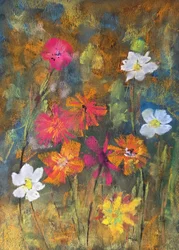 Kleurrijke weidebloemen