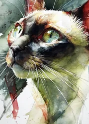 De levendige blik van een Siamese kat