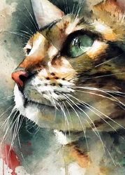 Tabbykat in aquarel
