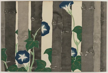 Bloemen van honderd werelden (Momoyogusa): Winde (Asagao)