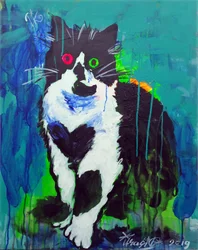 Kleurrijke abstracte kat
