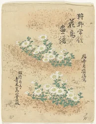 Inhoudsopgave Bloemen- en vogelschetsen van Kano Tsunenobu (serie titel) Kano Tsunenobu kacho gafu (serie titel op object)
