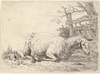 Een schaap liggend met zijn poten onder zijn lichaam naast een houten hek, de scha..., ca. 1655