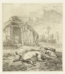 Drie varkens voor een hok