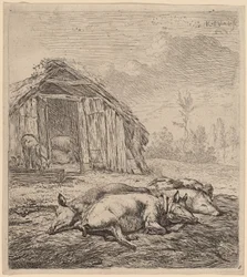Drie varkens