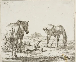Twee paarden bij een ploeg