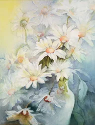 Chrysant, Sneeuwkap