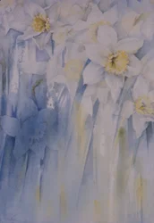 Narcissen