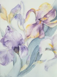 Gemengde Irissen, Ola Kale en Mary Todd